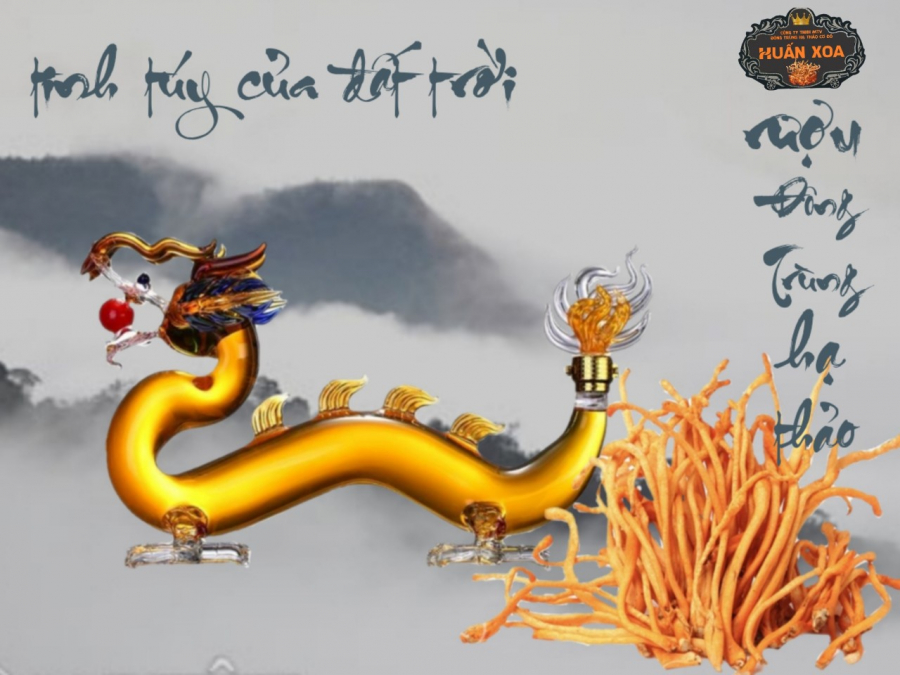 bC3ACnh20rC6B0E1BBA3u-1599789074.jpg Rượu đông trùng hạ thảo bình rồng - Image 1