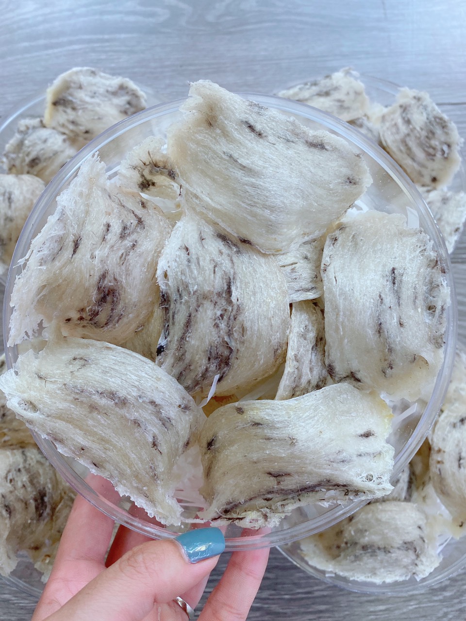 bach-yen-tho-loai-2.jpg Bạch yến thô loại 2 - Image 1