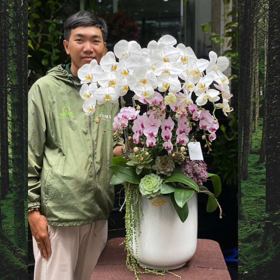 binh-hoa-lan.png Bình Lan Hồ Điệp Để Bàn Màu Trắng và Hồng Cao Cấp Mix Sen Đá: Điểm Nhấn Sang Trọng Mọi Không Gian - Image 1