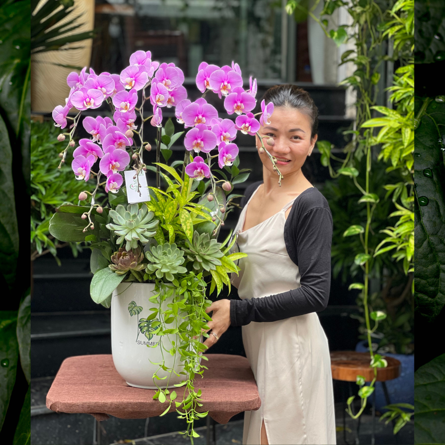 chau-lan-ho-diep-2.png Chậu Lan Hồ Điệp Hồng 5 Cành Mix Sen Đá Tặng Khai Trương Shop Nhỏ - Image 1
