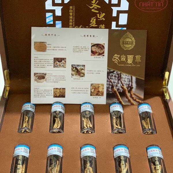 CON ĐÔNG TRÙNG TÂY TẠNG-10GR (SIZE A+ 40 CON)
