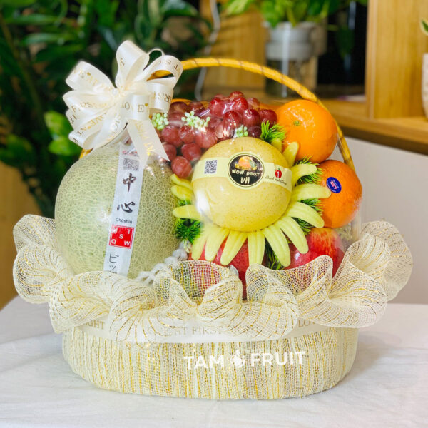 Giỏ trái cây ht08