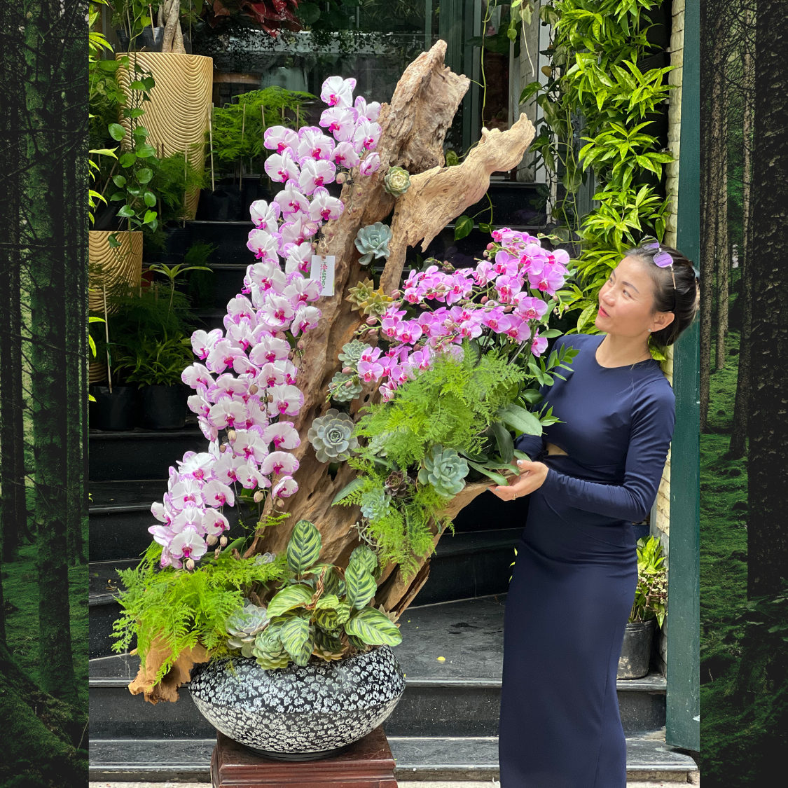 ho-diep-thom.png Lũa Gỗ Lan Hồ Điệp Mix Sen Đá Hoành Tráng- Hoa Chúc Mừng Sang Trọng - Image 1