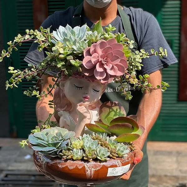hoa-chuc-mung-8-3-binh-hoa-sen-da-co-gai-mau-hong.jpg.webp “Hoa Chúc Mừng 8 3”-Hoa Sen Đá Đầu Cô Gái Màu Hồng - Image 1