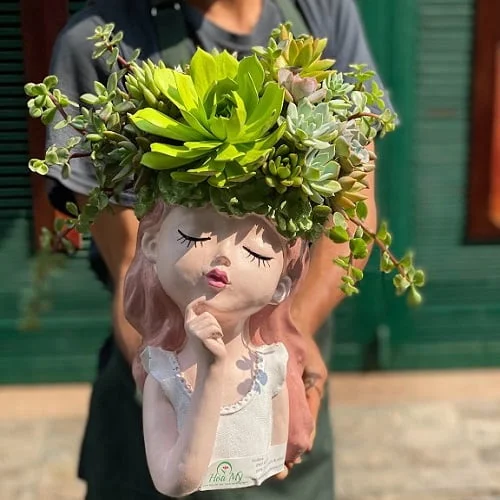 hoa-dep-ngay-8-3-hoa-sen-da-co-gai.jpg.webp “Hoa Đẹp Tặng 8 3”: Mẫu Hoa Sen Đá Cô Gái Decor Đẹp Độc Đáo - Image 1