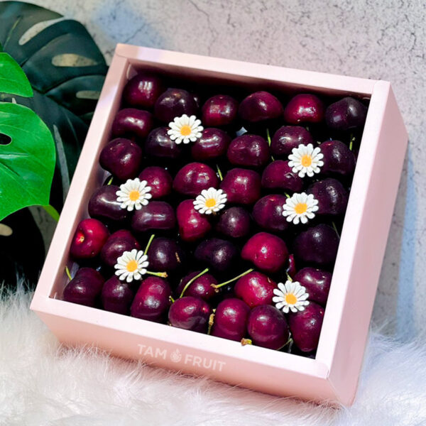 Hộp quà Cherry ht115