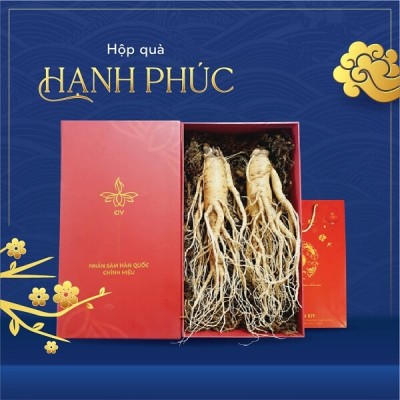 hop-qua-nhan-sam-tuoi-hanh-phuc.jpg Hộp Quà Nhân Sâm Tươi Hạnh Phúc - Image 1