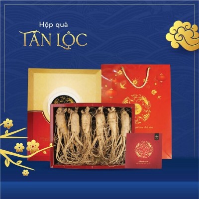 hop-qua-nhan-sam-tuoi-tan-loc.jpg Hộp Quà Nhân Sâm Tươi Tấn Lộc - Image 1