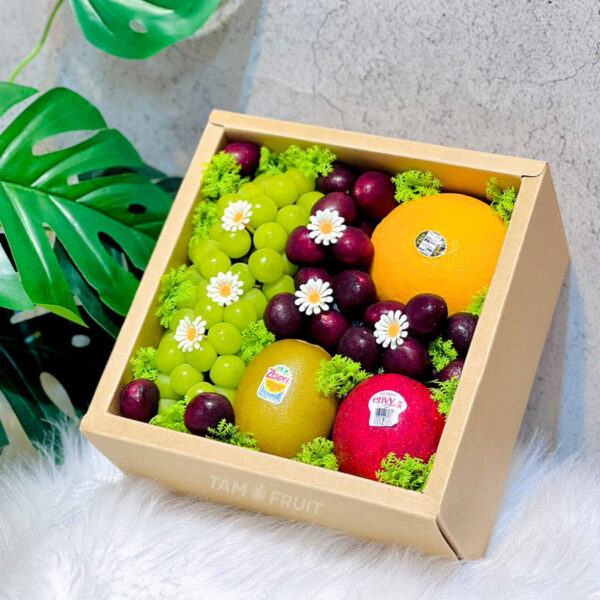 Hộp quà trái cây cao cấp ht90