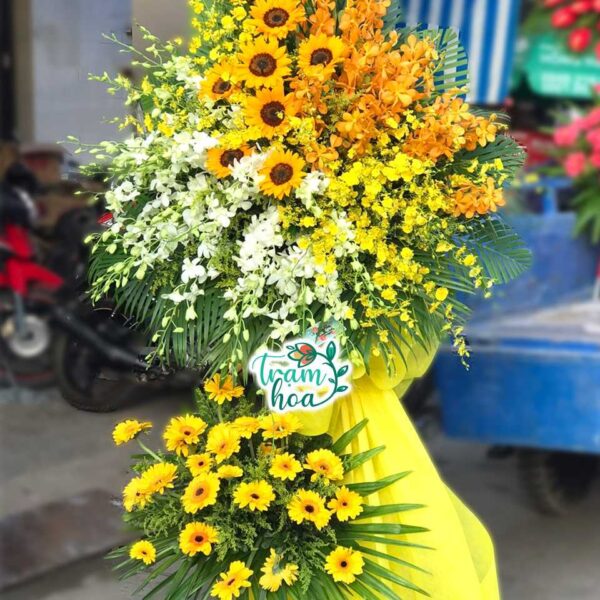 Nắng Sáng