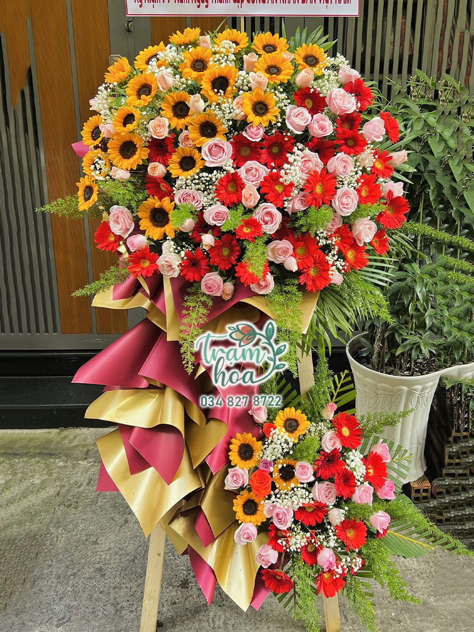 ke-hoa-khai-truong-kt050.jpg Đa Sắc Màu - Image 1