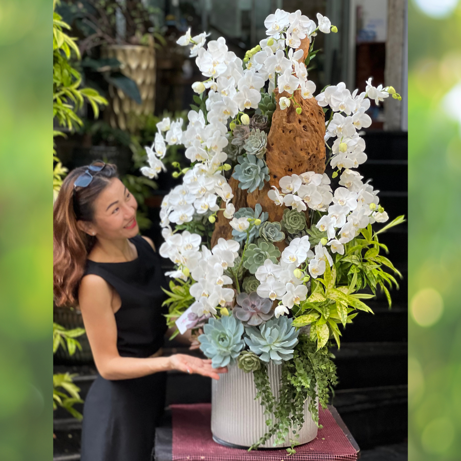 lan-ho-diep-2.png Chậu Lan Hồ Điệp Trắng Ghép Gỗ Lũa Để Bàn Mix Sen Đá – Món Quà Ý Nghĩa Sang Trọng - Image 1