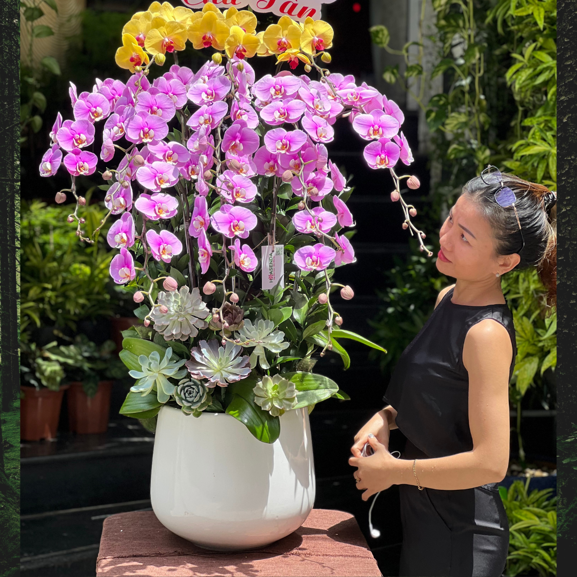 lan-ho-diep-hong-1.png Chậu Hoa Lan Để Bàn: Lan Hồ Điệp Hồng Vàng Mix Sen Đá - Image 1