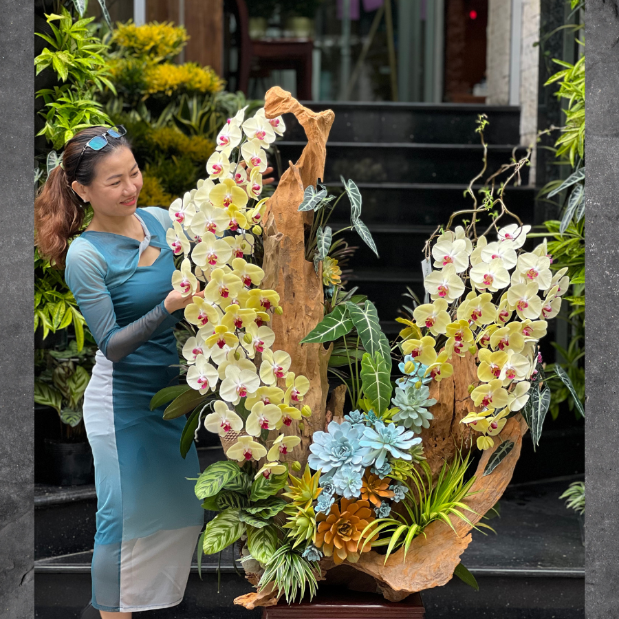 lan-ho-diep-vang.png Lũa Gỗ Lan Hồ Điệp Vàng Mix Sen Đá Khủng – Hoa Khai Trương, Hoa Sinh Nhật, Hoa Tết, Hoa Tất Niên Bền Lâu - Image 1