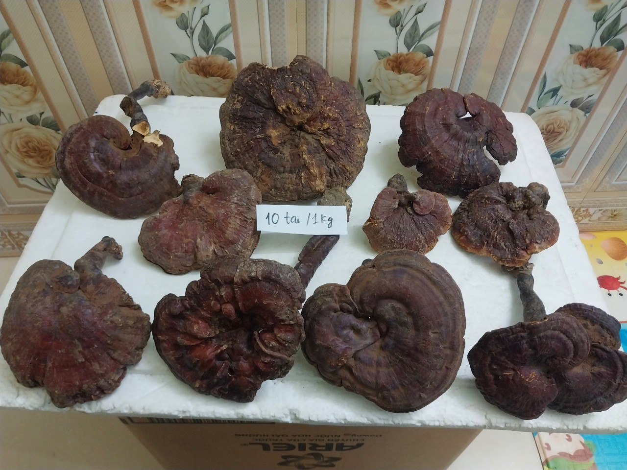nam-lim-xanh-rung.jpg Nấm lim xanh rừng tự nhiên - Image 1