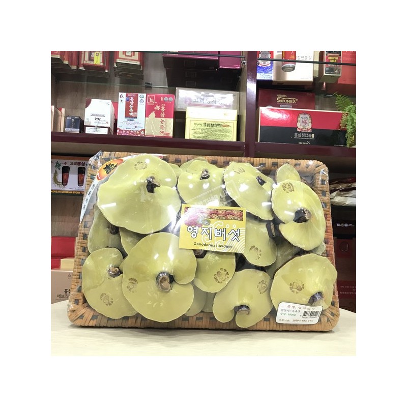 nam-linh-chi-vang-thom-han-quoc-thuong-hang-khay-1-kg-0.jpg Nấm linh chi vàng thơm tự nhiên tai nhỏ Hàn Quốc thượng hạng khay 1 kg - Image 1