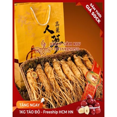 nhan-sam-tuoi-han-quoc-thuong-pham-loai-8-cu-1kg.jpg Nhân sâm tươi hàn quốc Thượng Phẩm loại 8 củ - 1kg - Image 1