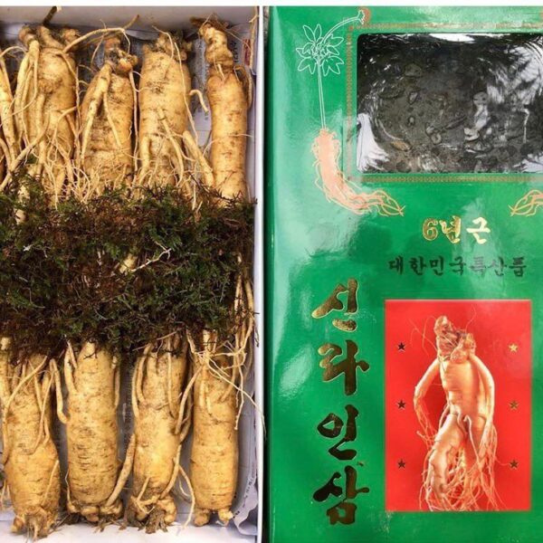 Nhân Sâm Tươi Hàn Quốc (Sẵn Hàng)