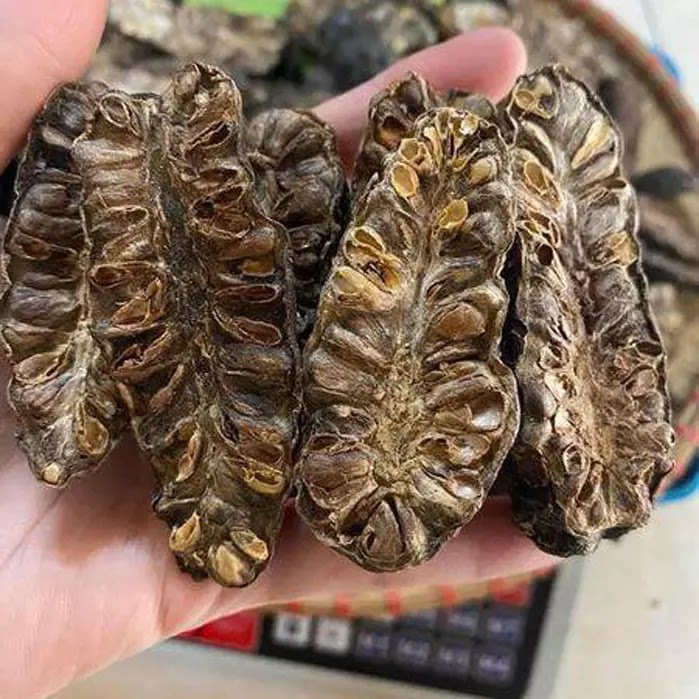 qua-nhau-2.jpg Quả nhàu chín sấy khô - Image 1