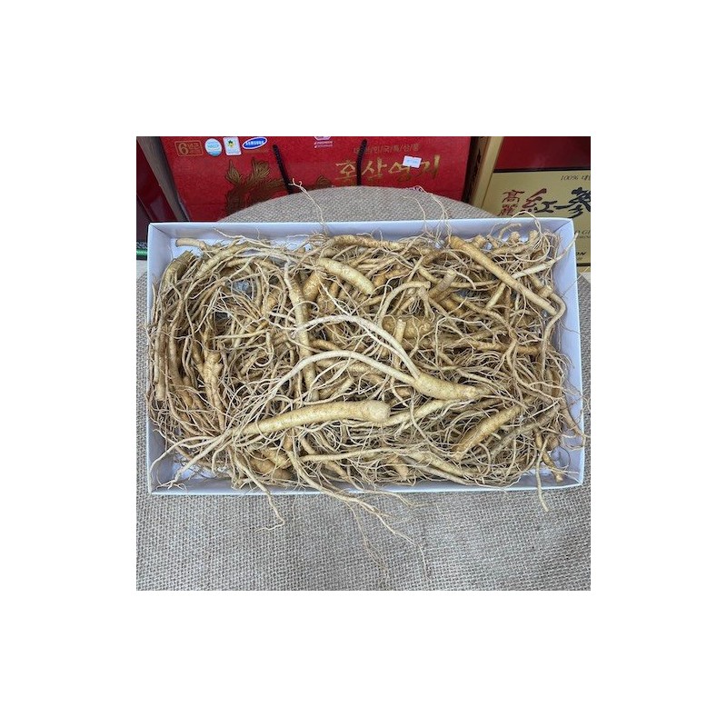 re-sam-phosam.jpg Rễ sâm tươi hàn quốc 1kg - Image 1