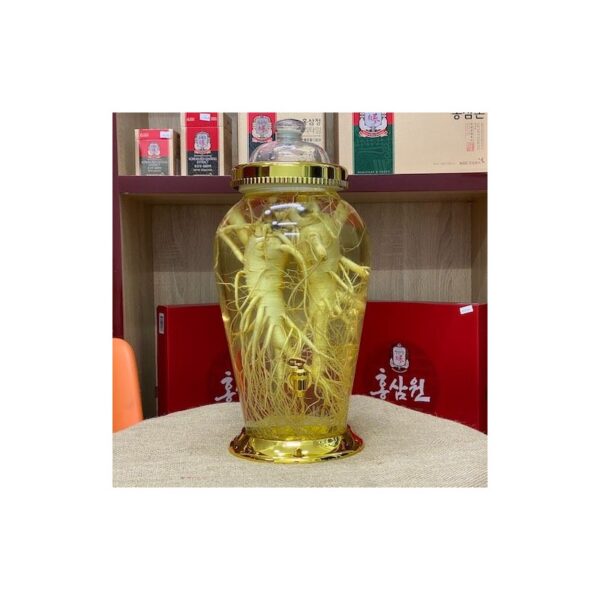 Bình Ngâm Sâm Hàn Quốc 10,5 lit 2 củ sâm cực to