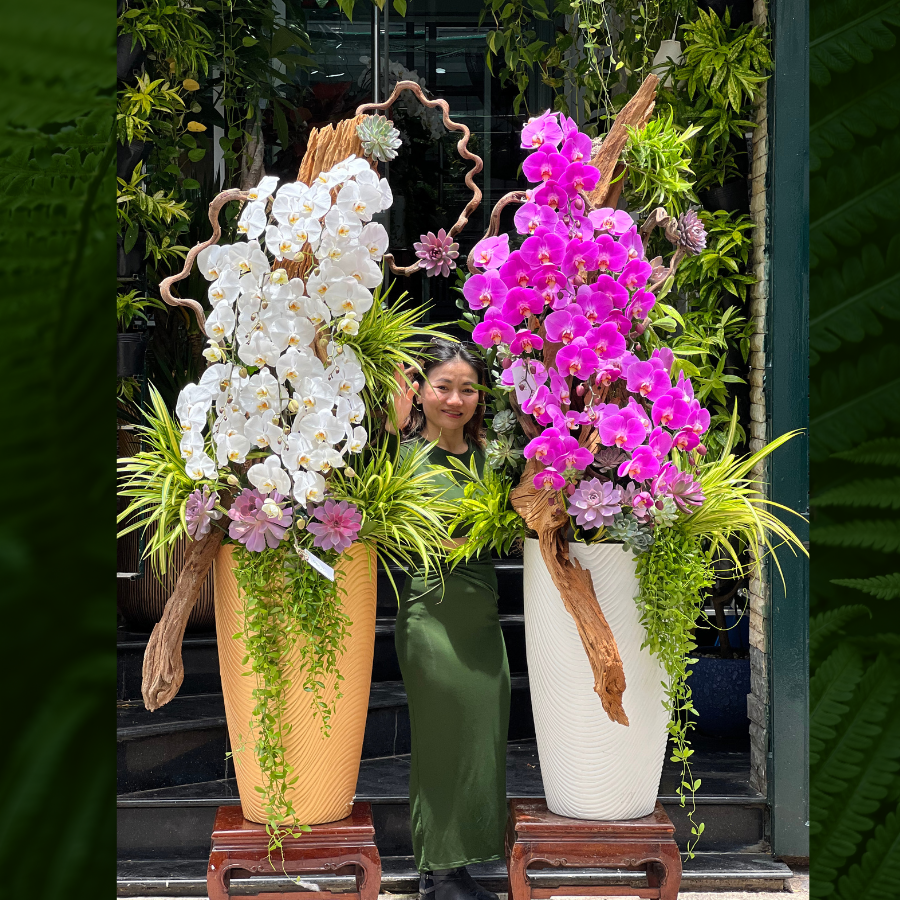shop-hoa-lan-ho-diep.png Lan Hồ Điệp Lũa Mix Sen Đá Độc – Lạ – Bình Hoa Lan Dáng Cao – Giao Nhanh 24 Giờ TP. Hồ Chí Minh - Image 1