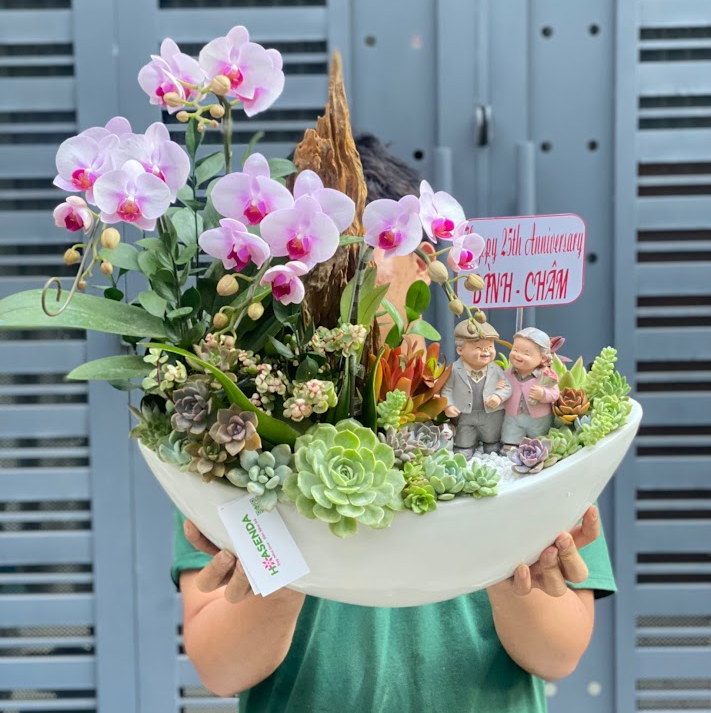 tieu-canh-sen-da-de-ban-dep.png Chậu Lan Hồ Điệp Mini Hồng Nhạt Mix Sen Đá và Lũa Gỗ Để Bàn- Món Quà Kỷ Niệm Ngày Cưới Ý Nghĩa - Image 1