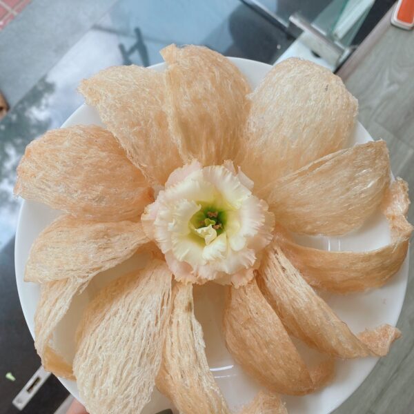 Cam yến tinh chế rút lông