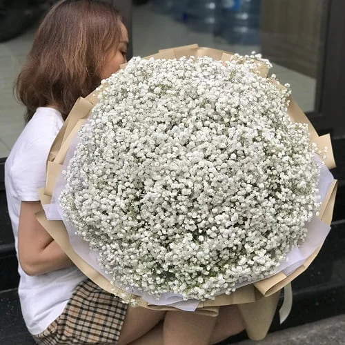 y_nghi_hoa_baby_trang-2.jpeg.webp Hoa Baby Trắng - Image 1