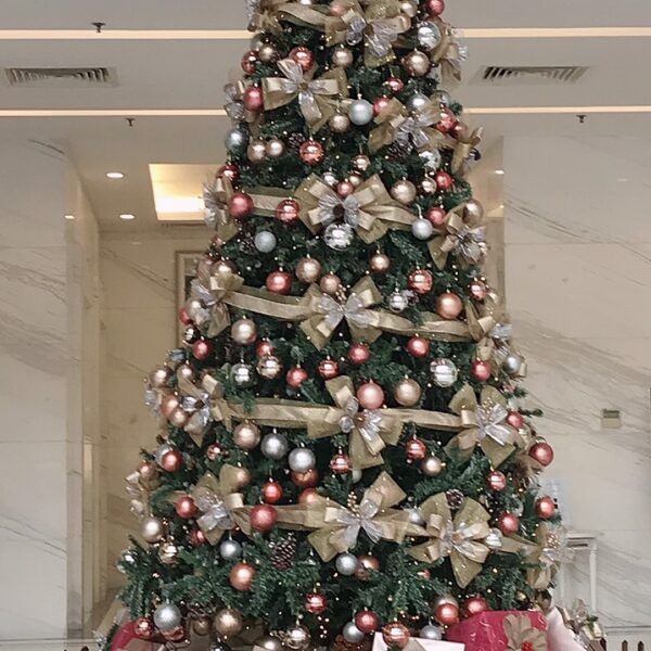 Cây thông xanh Noel 3m6 dày lá