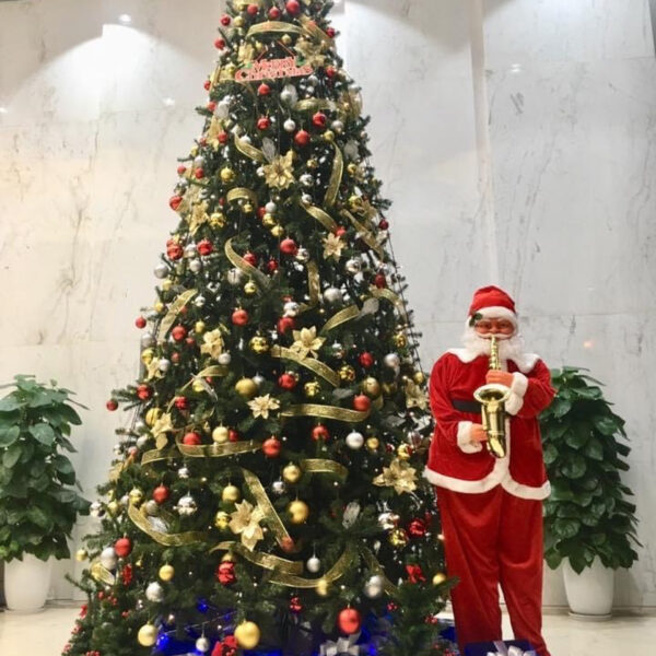 Cây thông xanh Noel 4m5 dày lá