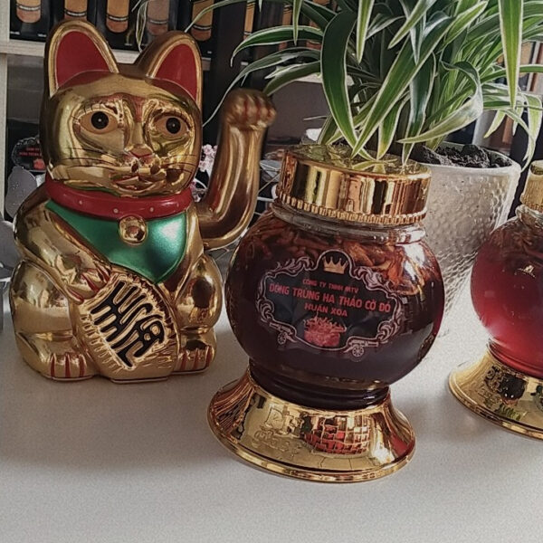 Đông trùng hạ thảo ngâm mật ong