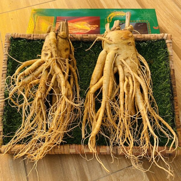 Sâm Tươi Hàn Quốc 2 củ 1 kg