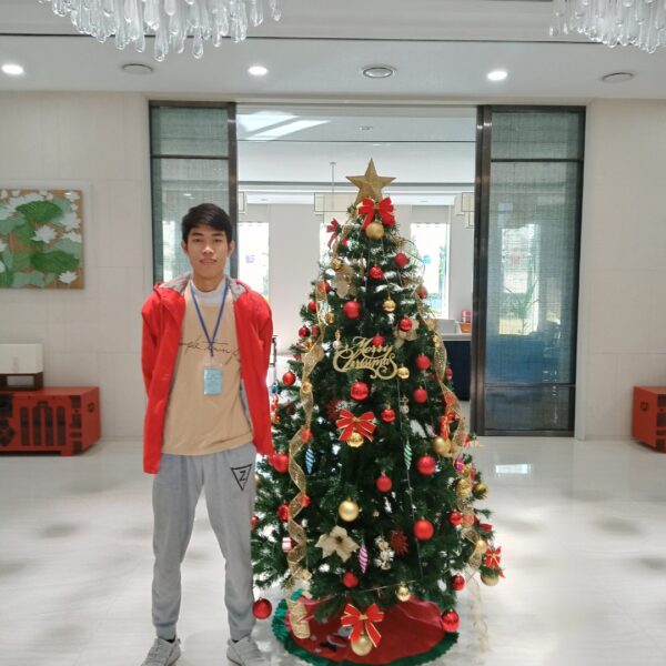 Cây thông xanh Noel 1m8 dày lá