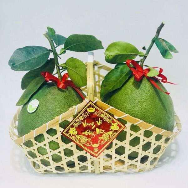 Quà Tết 4