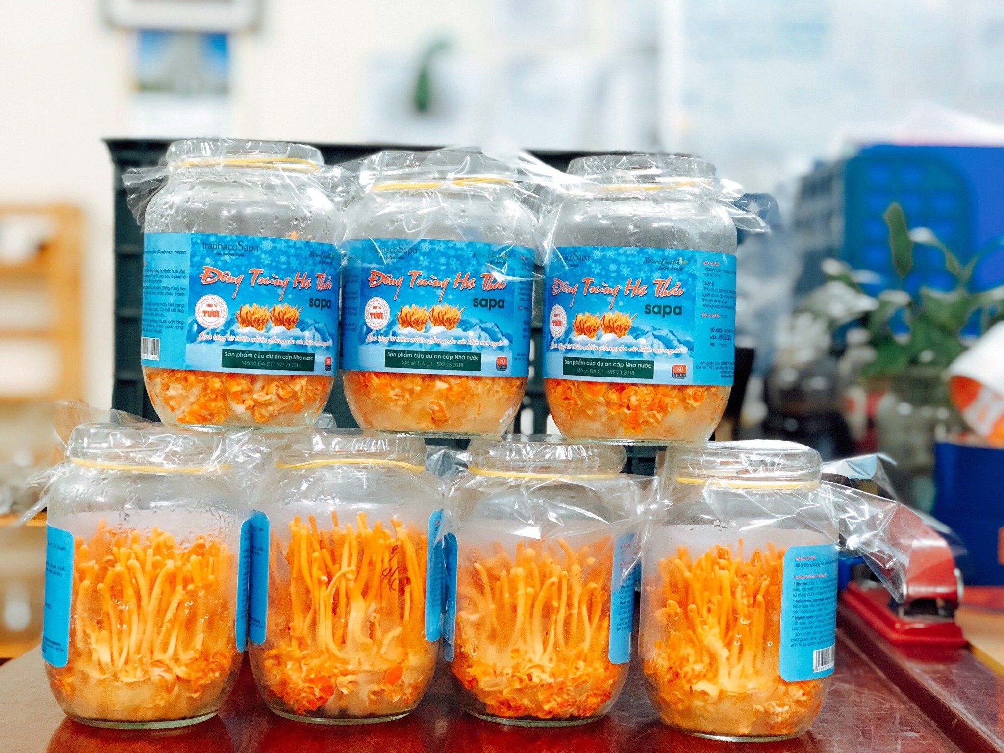 0eeac843b8cc42921bdd_1aa942fac9464cde8c7a5275d9fe0893_master.jpg Đông trùng hạ thảo tươi Sapa - Image 1