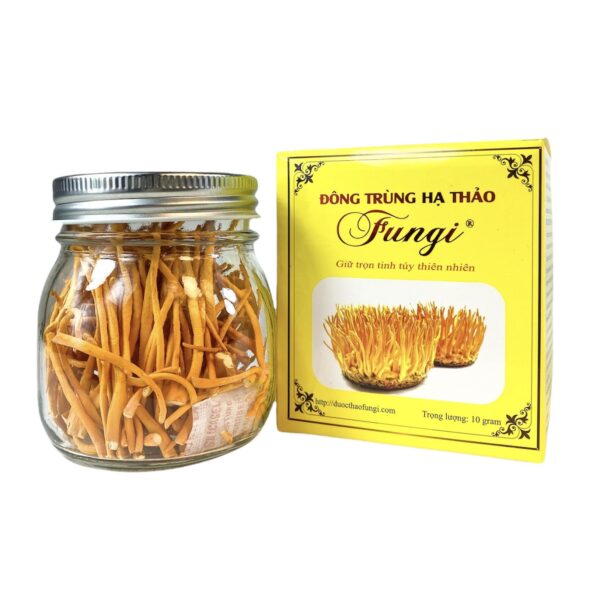 Sấy Thăng Hoa Hộp Giấy