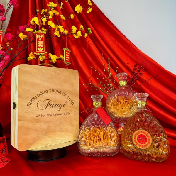 Fungi XO 750ml hộp gỗ