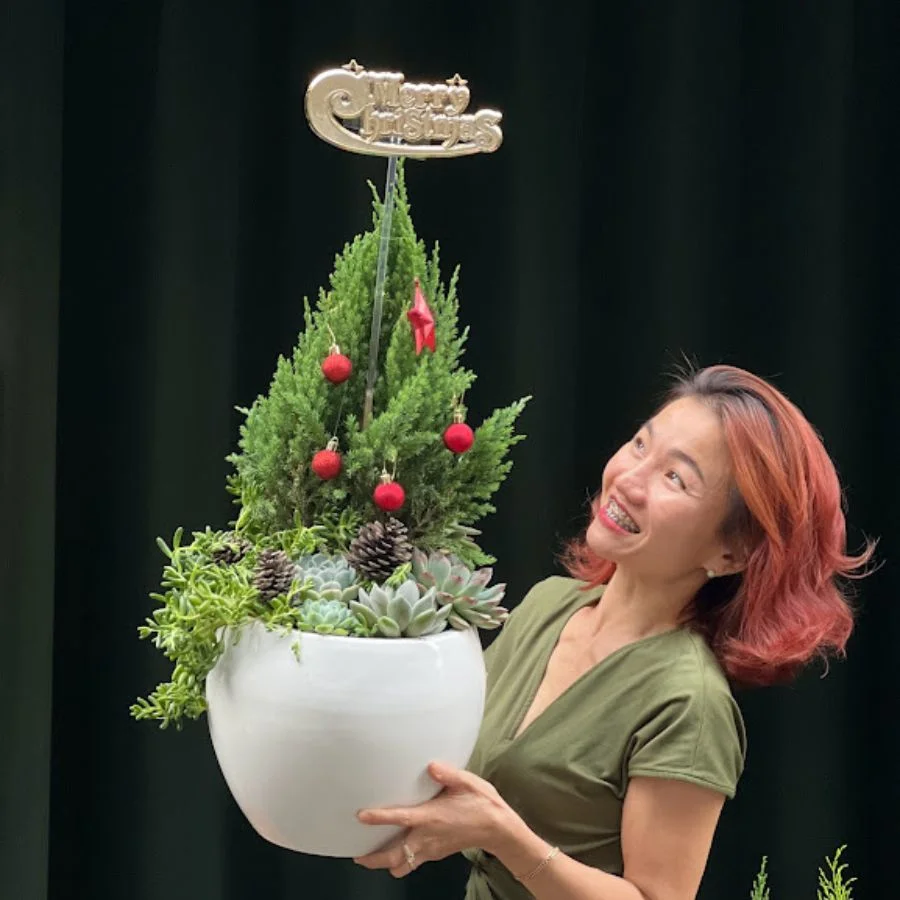 5.jpg.webp Cây Thông Noel Mini Giá Bao Nhiêu Tiền? - Image 1
