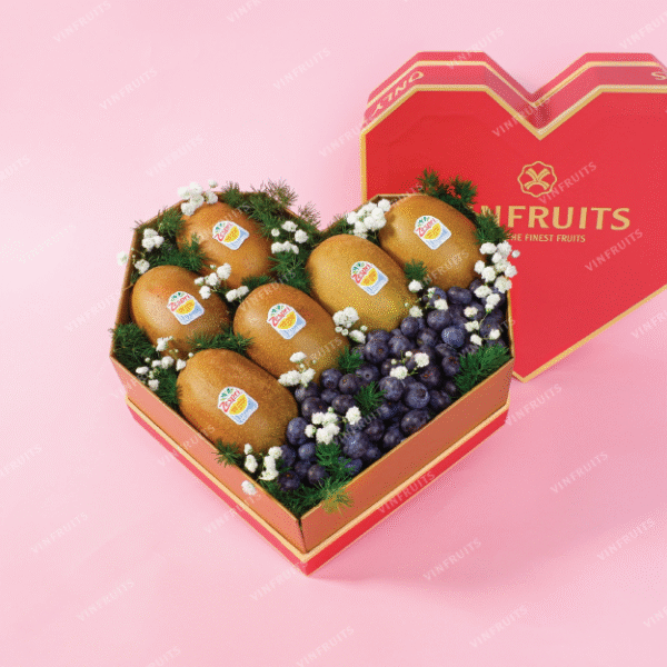 Sweet Box Trao Ngàn Yêu Thương