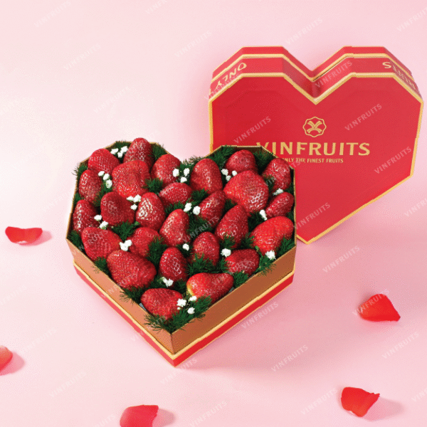 Sweet Box Ngọt Ngào Chuẩn Gu