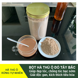Bot-ha-thu-o-do-tay-bac-avatar-1.jpg Hà Thủ Ô Đỏ Tây Bắc – Hỗ Trợ Bổ Máu và Đẹp Tóc - Image 1