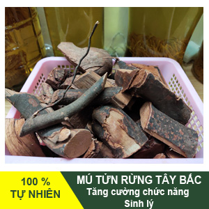 Mu-tun-rung-tay-bac-avatar.jpg Mú tửn tăng cường sinh lý - Image 1