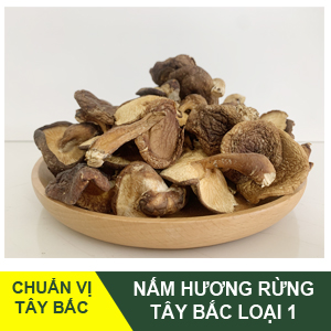 Nam-huong-rung-tay-bac-avatar.jpg Nấm hương Lai Châu Tây Bắc – Tự Nhiên Thơm Ngon - Image 1
