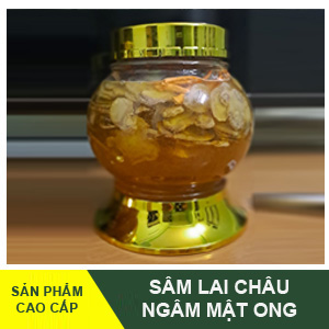 Sam-lai-chau-ngam-mat-ong-avata-2.jpg Sâm Lai Châu ngâm mật ong rừng - Image 1