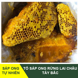 Sap-to-ong-rung-lai-chau-food-avatar-3.jpg Sáp ong rừng Tây Bắc - Image 1