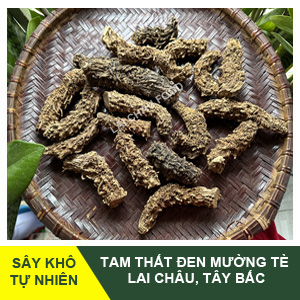 Tam-that-den-avatar-2.jpg Tam thất đen Mường Tè, Lai Châu - Image 1