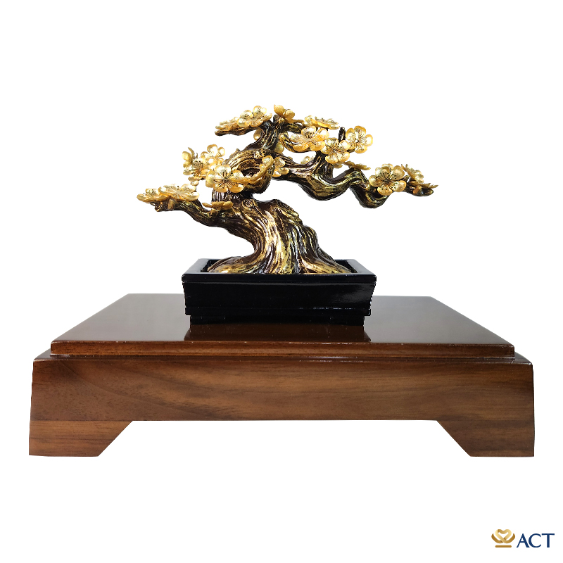 chau-mai-act-bt-0283-3_ad49acc9508e41068ae18683218d7efd.jpg Quà tặng Chậu Mai dát vàng 24k ACT GOLD ISO 9001:2015 - Image 1