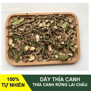 day-thia-canh-avatar.jpg Dây thìa canh - Image 1