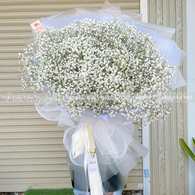 doa-hoa-chuc-mung-81041686996712.png Đoá hoa chúc mừng - Image 1